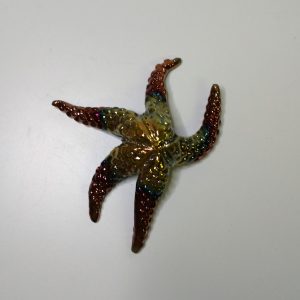 Raku Starfish