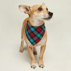❤️BEST SELLER❤️ OVER-THE-COLLAR DOG BANDANA - size MEDIUM ✳ Assorted Fabrics ✳