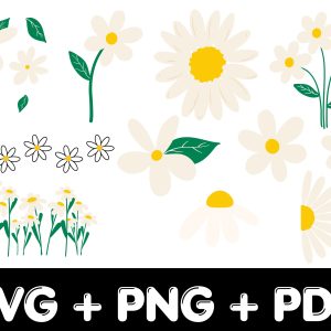 Daisy Flower SVG | Flower SVG | Floral SVG | Daisy Vector Clip Art | SVG Files for Cricut