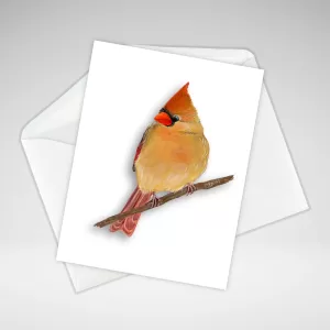 Female Cardinal Note Card