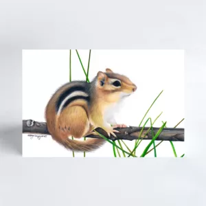 Chipmunk - Blank Greeting Card (4"x6")