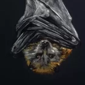 Profile picture of In The Line of Fibre