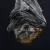 Profile picture of In The Line of Fibre