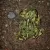 Profile picture of GreenQueeries